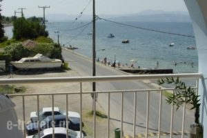 Glaros Studios_holidays_in_Hotel_Central Greece_Evia_Edipsos