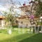 Villa La Luna_best deals_Villa_Macedonia_Pieria_Litochoro