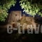 Pyrgos Apartments & Restaurant_best deals_Apartment_Aegean Islands_Chios_Avgonima