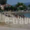 Studios Efi_travel_packages_in_Central Greece_Evia_Edipsos