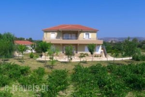 Aggelina's Apartments_accommodation_in_Apartment_Ionian Islands_Kefalonia_Kefalonia'st Areas