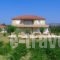 Aggelina's Apartments_accommodation_in_Apartment_Ionian Islands_Kefalonia_Kefalonia'st Areas