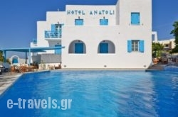 Anatoli Hotel in Naxos Chora, Naxos, Cyclades Islands