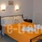 Agnanti Studios_holidays_in_Hotel_Macedonia_Halkidiki_Kassandreia