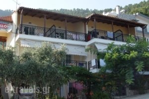 Studios Apollon_accommodation_in_Hotel_Aegean Islands_Thasos_Thasos Chora