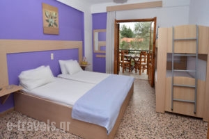 Studios Kapahi_lowest prices_in_Apartment_Aegean Islands_Thasos_Thasos Chora