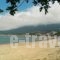 Villa Toula_holidays_in_Villa_Ionian Islands_Corfu_Roda
