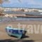 Villa Toula_travel_packages_in_Ionian Islands_Corfu_Roda