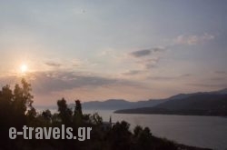Remvi_s __1