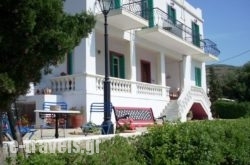 Blue Dolphin in Batsi, Andros, Cyclades Islands