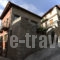 Xenonas Ioanna_best prices_in_Room_Central Greece_Viotia_Arachova