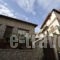 Xenonas Ioanna_holidays_in_Room_Central Greece_Viotia_Arachova