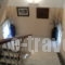 Oasis Hotel by Svetlana & Michalis_holidays_in_Hotel_Piraeus Islands - Trizonia_Aigina_Agia Marina