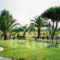 Ionion Sea_travel_packages_in_Peloponesse_Ilia_Pyrgos