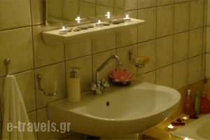 Studios Veneti_best deals_Apartment_Central Greece_Evia_Edipsos