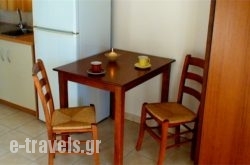 Studios Veneti_s __1