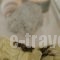 Elia & Tina Apartments_travel_packages_in_Crete_Heraklion_Chersonisos