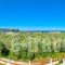 Ocean Beach Hotel_best deals_Hotel_Aegean Islands_Thassos_Chrysi Ammoudia