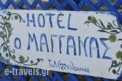 Maganas_s __1