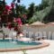 Aggelos Studio_lowest prices_in_Hotel_Sporades Islands_Skiathos_Skiathoshora