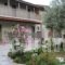 Aggelos Studio_best deals_Hotel_Sporades Islands_Skiathos_Skiathoshora