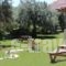 Aggelos Studio_travel_packages_in_Sporades Islands_Skiathos_Skiathoshora