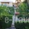 Villa Vicky_holidays_in_Villa_Crete_Heraklion_Chersonisos