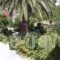 Kokkinos Apartments_best deals_Apartment_Ionian Islands_Corfu_Arillas