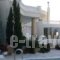 Villa Kokkalis_accommodation_in_Villa_Crete_Heraklion_Gouves
