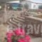 Applause_holidays_in_Hotel_Peloponesse_Lakonia_Monemvasia