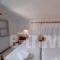 Anastasia Hotel_best deals_Hotel_Dodekanessos Islands_Simi_Symi Chora