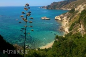 Thanasis' apartments_travel_packages_in_Ionian Islands_Kefalonia_Kefalonia'st Areas