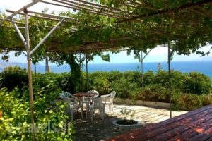 Thanasis' apartments_accommodation_in_Room_Ionian Islands_Kefalonia_Kefalonia'st Areas