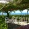 Thanasis' apartments_accommodation_in_Room_Ionian Islands_Kefalonia_Kefalonia'st Areas