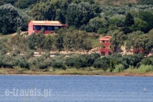 Bioporos_holidays_in_Hotel_Ionian Islands_Corfu_Corfu Rest Areas