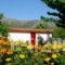 The Garden'S Studios_best prices_in_Hotel_Ionian Islands_Kefalonia_Kefalonia'st Areas