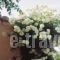 The Garden'S Studios_lowest prices_in_Hotel_Ionian Islands_Kefalonia_Kefalonia'st Areas