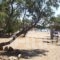 Grammeno Camping_best prices_in_Hotel_Crete_Chania_Palaeochora
