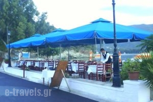 Hotel Pavlou_holidays_in_Hotel_Piraeus islands - Trizonia_Trizonia_Trizonia Rest Areas
