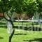 Le Jardin De Temeni_best deals_Hotel_Peloponesse_Achaia_Kalavryta