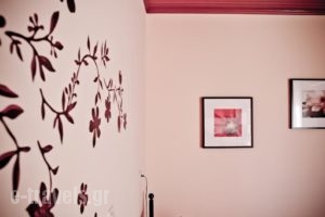Siora Maria_accommodation_in_Hotel_Ionian Islands_Kefalonia_Vlachata