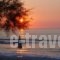Villa Toula_accommodation_in_Villa_Ionian Islands_Corfu_Roda