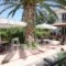 Kostas Apartments_accommodation_in_Apartment_Ionian Islands_Corfu_Corfu Rest Areas