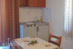 Virginia Studios_best prices_in_Hotel_Crete_Chania_Palaeochora