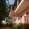 Athina Studios_best deals_Room_Ionian Islands_Corfu_Palaeokastritsa