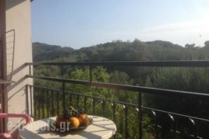 Athina Studios_accommodation_in_Room_Ionian Islands_Corfu_Palaeokastritsa