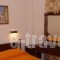 Rachel Hotel_best deals_Hotel_PiraeusIslands - Trizonia_Aigina_Aigina Chora