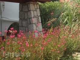Villa Panagos_best deals_Villa_Dodekanessos Islands_Rhodes_Faliraki