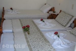 Augusta Studios & Apartments_holidays_in_Apartment_Cyclades Islands_Paros_Piso Livadi