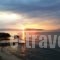 Art Boutique_holidays_in_Room_Piraeus Islands - Trizonia_Agistri_Agistri Rest Areas